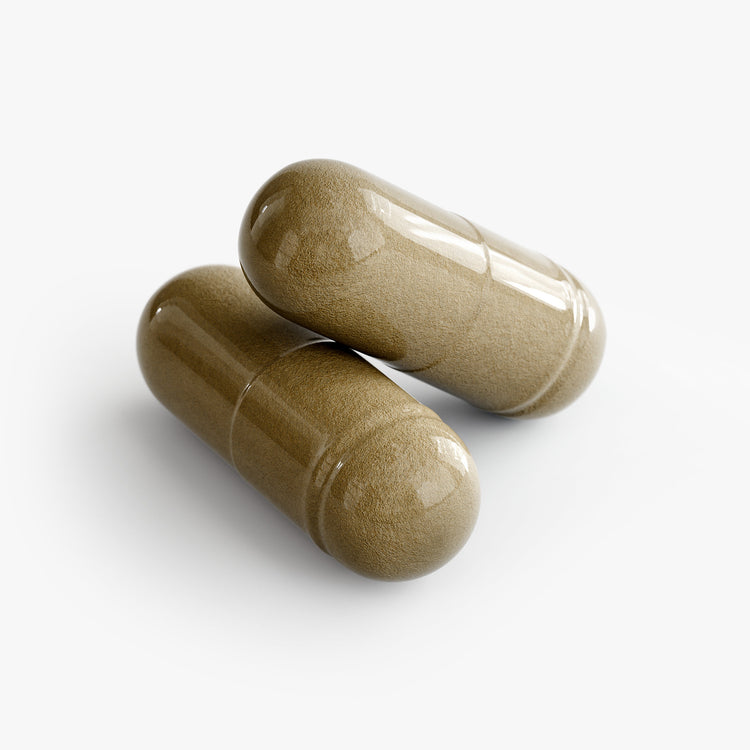 Ginkgo Biloba + Ginseng – Herbal Brain & Energy Support | 60 Vegan Capsules