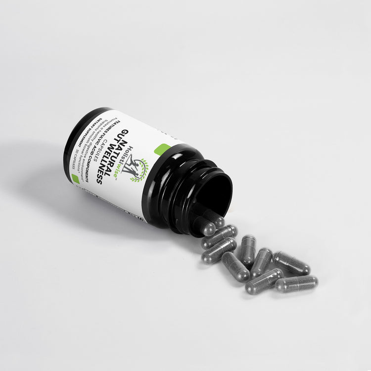 Natural Gut Wellness Capsules – Fulvic Acid, Birch Chaga & Pine Bark | Gut Microbiome Support | 30 Vegan Caps